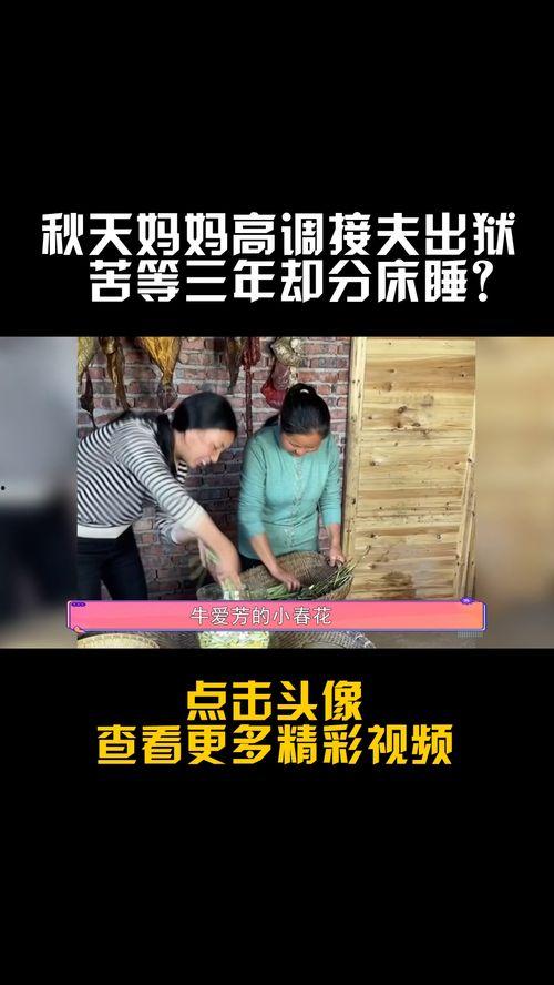 网红二胎爆料事件视频,揭秘背后惊人真相