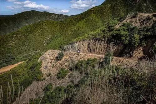 原始生活有没有无码的,探寻无码自然的纯粹魅力
