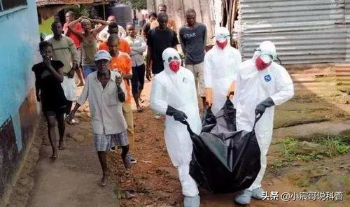 最新印度消息爆料,揭秘神秘事件背后的真相