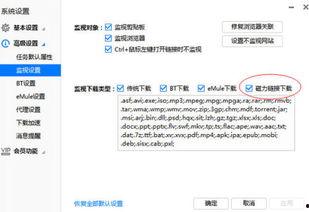 美国无码下载链接 magnet,美国无码下载之旅