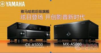 av.126,探索神秘网络世界的奥秘