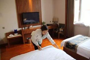 客房沙龙服务在线播放,体验高端酒店服务新方式