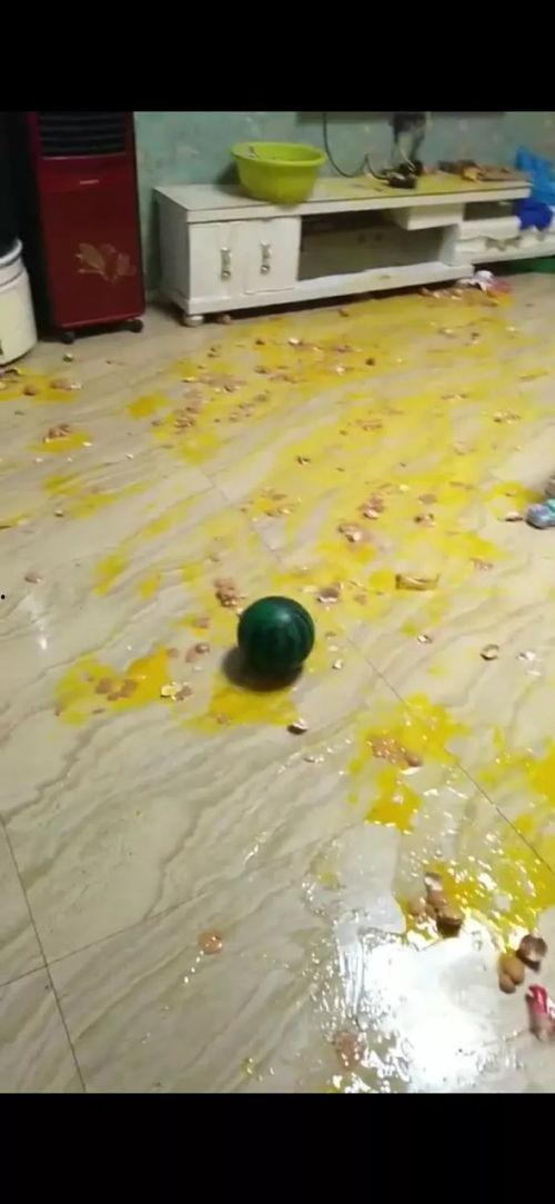 后入黑色丝袜动态图