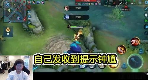 张角爆料猫神被抓了吗视频